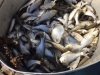 img_2812-1